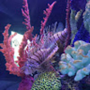 Meet your Posher, Mary angela